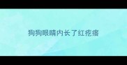 狗狗眼睛内长了红疙瘩