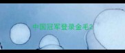 中国冠军登录金毛