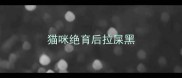 猫咪绝育后拉屎黑