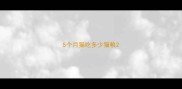 5个月猫吃多少猫粮