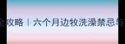 边牧幼犬护理全攻略六个月边牧洗澡禁忌与正确护理指南