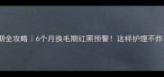 蓝猫尴尬期全攻略6个月换毛期红黑预警这样护理不炸毛不尴尬