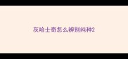灰哈士奇怎么辨别纯种