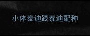 小体泰迪跟泰迪配种