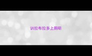训拉布拉多上厕斫