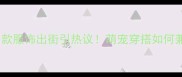拉布拉多穿路虎同款服饰出街引热议萌宠穿搭如何兼顾时尚与舒适