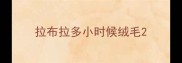 拉布拉多小时候绒毛