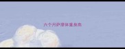 六个月萨摩体重身高