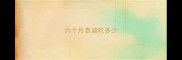 六个月泰迪吃多少