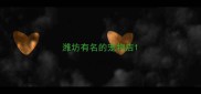 潍坊有名的宠物店