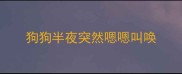 狗狗半夜突然嗯嗯叫唤