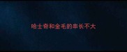 哈士奇和金毛的串长不大