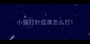 小猫打针疫苗怎么打