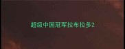 超级中国冠军拉布拉多
