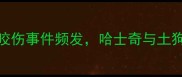 夏季宠物犬咬伤事件频发哈士奇与土狗冲突引关注