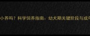 拉布拉多必须从小养吗科学饲养指南幼犬期关键阶段与成年后健康养护全