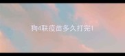 狗4联疫苗多久打完