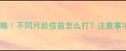 小狗疫苗全攻略不同月龄疫苗怎么打注意事项和避坑指南