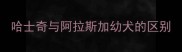 哈士奇与阿拉斯加幼犬的区别