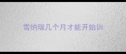 雪纳瑞几个月才能开始训