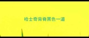 哈士奇背脊黑色一道