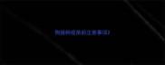 狗接种疫苗前注意事项