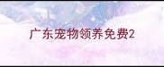 广东宠物领养免费