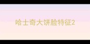 哈士奇大饼脸特征