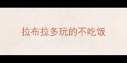 拉布拉多玩的不吃饭