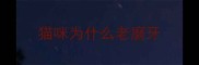 猫咪为什么老磨牙