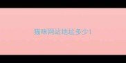 猫咪网站地址多少