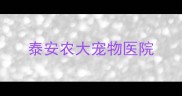 泰安农大宠物医院