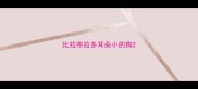 比拉布拉多耳朵小的狗