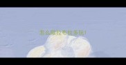 怎么陪拉布拉多玩