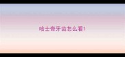哈士奇牙齿怎么看