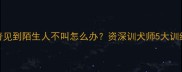 哈士奇见到陌生人不叫怎么办资深训犬师5大训练方法