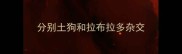 分别土狗和拉布拉多杂交
