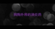 狗狗外用的消炎药