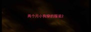 两个月小狗穿的服装