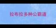 拉布拉多种公霸道