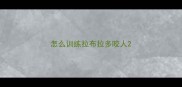 怎么训练拉布拉多咬人