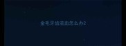金毛牙齿流血怎么办