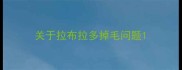 关于拉布拉多掉毛问题
