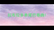 拉布拉多串尾巴卷曲