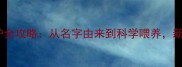灵缇犬养护全攻略从名字由来到科学喂养新手必看
