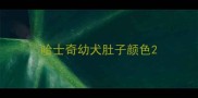 哈士奇幼犬肚子颜色