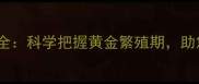 金毛犬受孕最佳时机全科学把握黄金繁殖期助您育出健康金毛宝宝