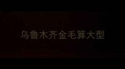 乌鲁木齐金毛算大型