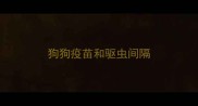 狗狗疫苗和驱虫间隔