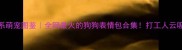 治愈系萌宠图鉴全网最火的狗狗表情包合集打工人云吸狗必备